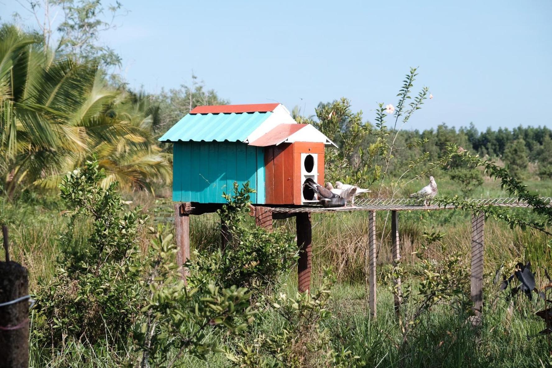 Bungalow Cà Mau Exterior foto